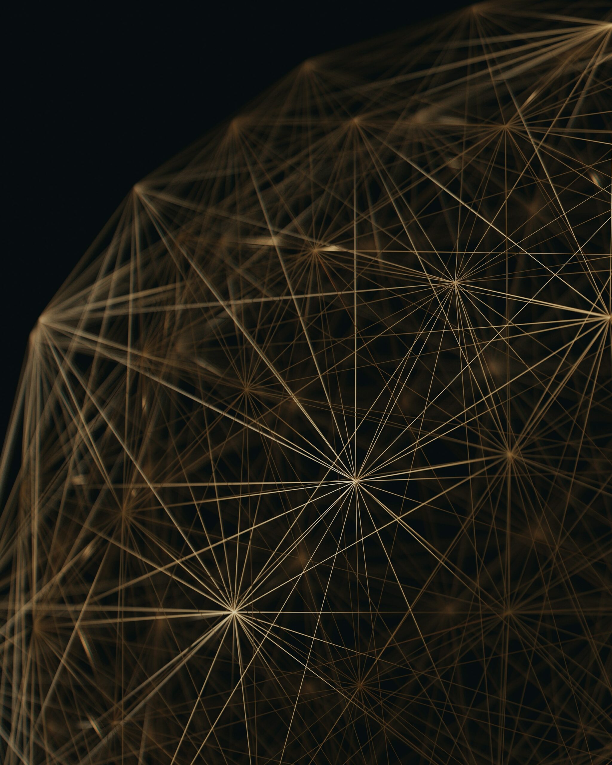 Web